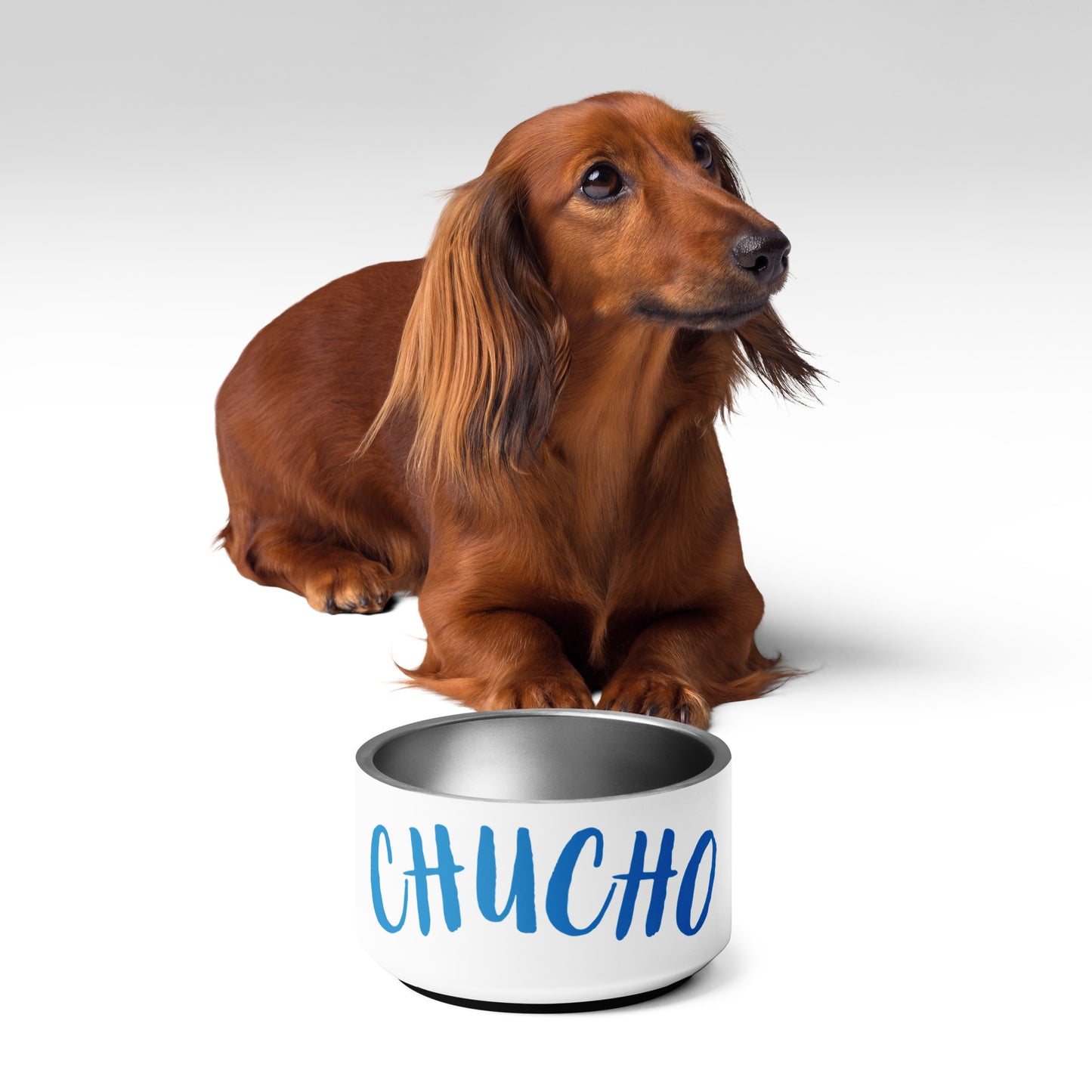 Chuchu Pet bowl