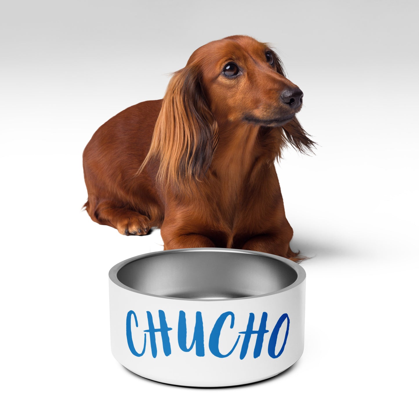 Chuchu Pet bowl